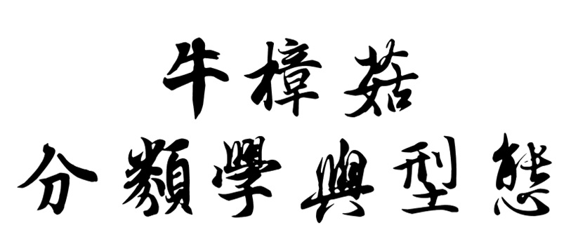 牛樟菇的分類學與型態
